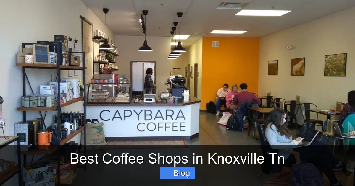 Best Coffee Shops in Knoxville Tn
