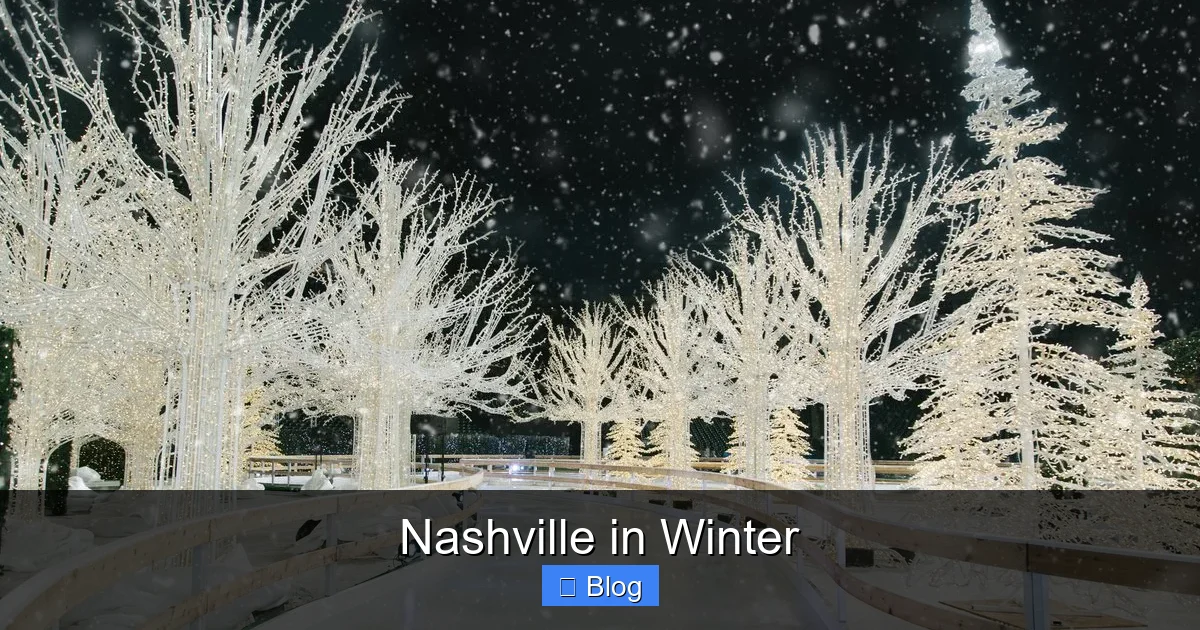 Nashville in Winter