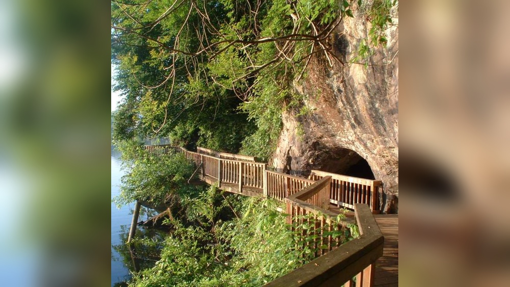 Things to Do Knoxville Tn