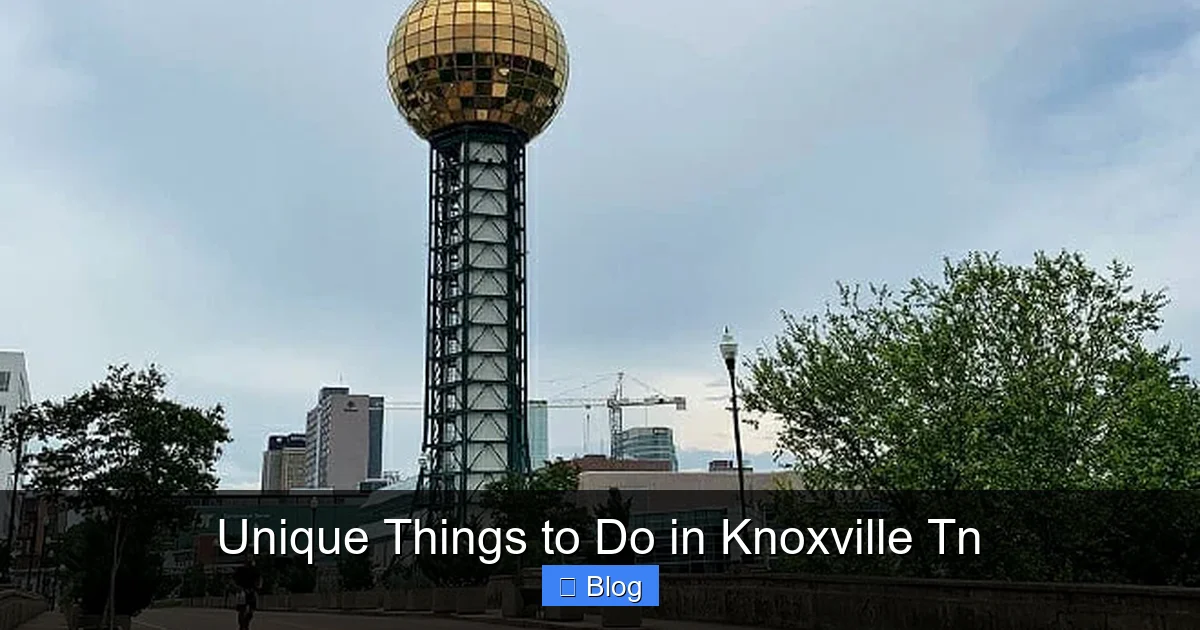 Unique Things to Do in Knoxville Tn